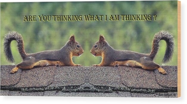 Squirrels Wood Print featuring the photograph Are You Thinking What I Am Thinking by Ben Upham III