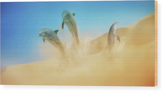 Dolphins Wood Print featuring the digital art Art - Sandy Ocean by Matthias Zegveld
