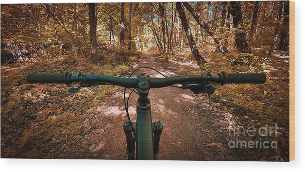 Trail Wood Print featuring the photograph Autumn mountain bike trail with handlebars in the foreground by Mendelex Photography