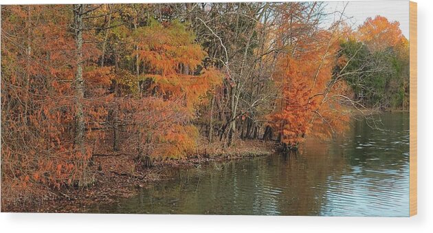 Fall Wood Print featuring the photograph Bledsoe Creek State Park by Ally White