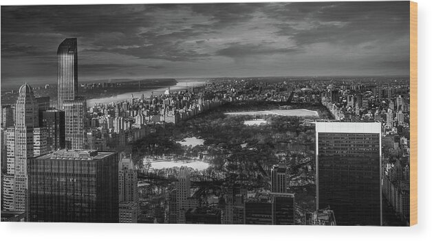 Black And White Wood Print featuring the photograph Central Park in Winter by Serge Ramelli