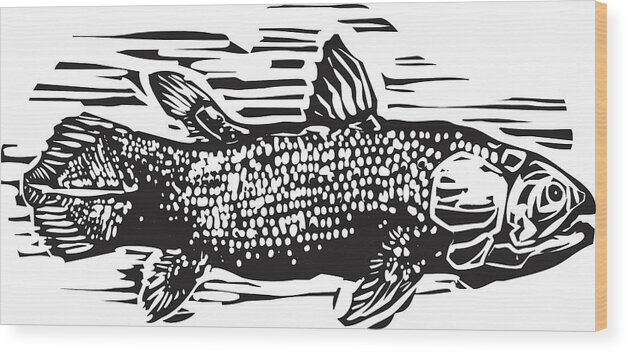 Archeology Wood Print featuring the drawing Coelacanth by Jeffrey Thompson