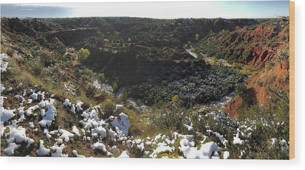 Richard E. Porter Wood Print featuring the photograph Holmes Canyon, Juxtaposition, Caprock Canyons State Park, Texas by Richard Porter
