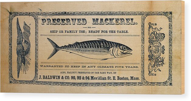 Preserved Mackeral Wood Print featuring the mixed media Preserved Mackerel by Richard Reeve