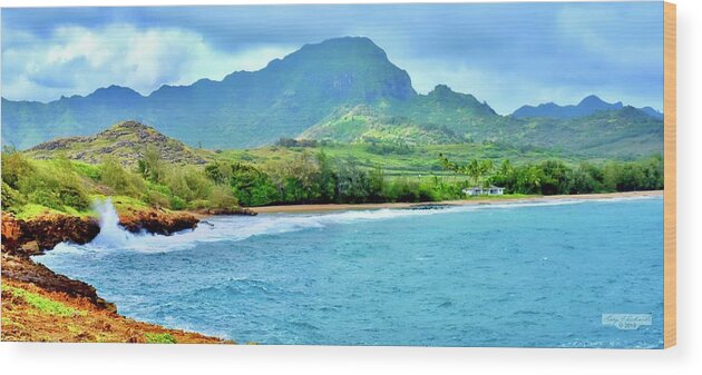 Gary Wood Print featuring the photograph Punahoa Point and Gillins Beach Pano by Gary F Richards