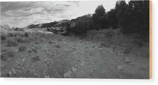 Richard E. Porter Wood Print featuring the photograph Thanks for the Shade, Caprock Canyons State Park, Texas by Richard Porter