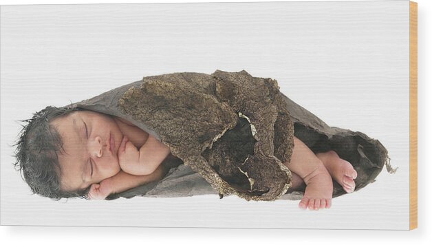 Cocoon Wood Print featuring the photograph Yash as a Cocoon by Anne Geddes