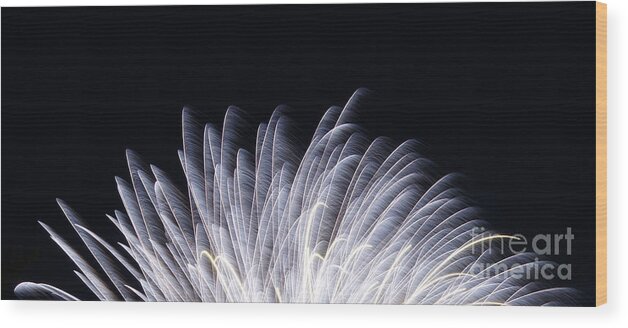 Fourth Of July Fireworks Wood Print featuring the photograph Feathers of Fire Fireworks by Robert E Alter Reflections of Infinity