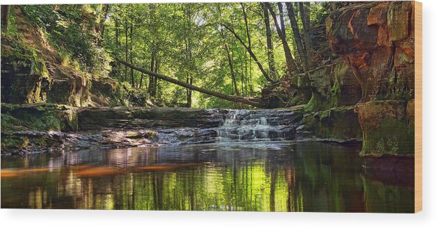Pewitt's Nest Wood Print featuring the photograph Gorgeous Gorge by Leda Robertson