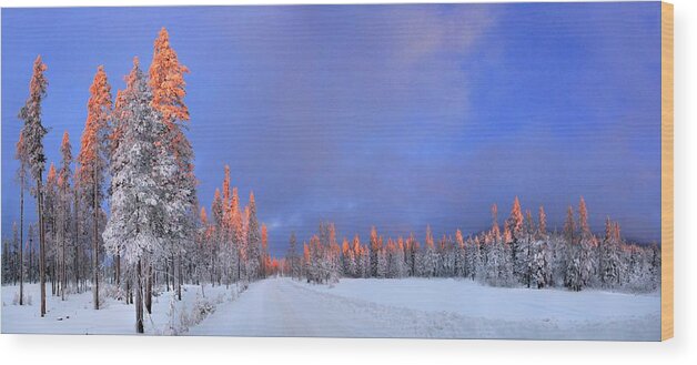 Sunset Wood Print featuring the photograph Other Side of a Winter Sunset by David Andersen