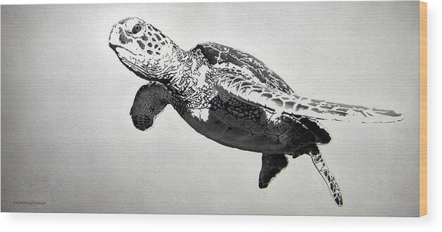 Turtle Wood Print featuring the drawing Spirit Drifter by Stirring Images