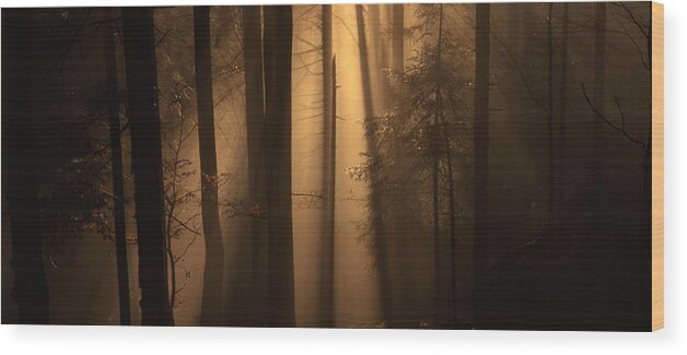 Nature Wood Print featuring the photograph Misty autumn forest by Ulrich Kunst And Bettina Scheidulin