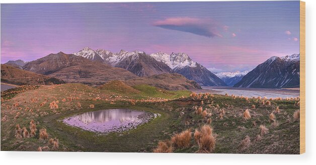 00486210 Wood Print featuring the photograph Sheep And Pond In Predawn Alpenglow by Colin Monteath