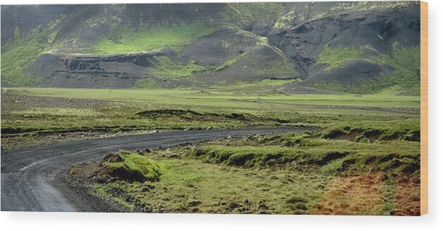 Iceland Wood Print featuring the photograph Icelandic Landscape #1 by KG Thienemann
