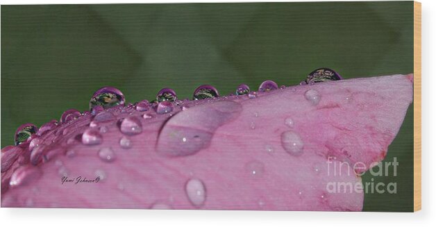 Droplets Wood Print featuring the photograph Pink Droplets by Yumi Johnson
