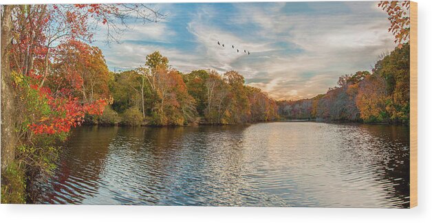 Park Wood Print featuring the photograph Trout Pond by Cathy Kovarik