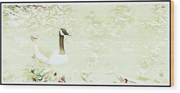 Canada Goose Wood Print featuring the digital art Canada Goose on a Stream In Autumn #2 by A Macarthur Gurmankin