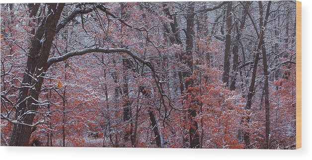 Black Hills Wood Print featuring the photograph Beautful Change by Kadek Susanto