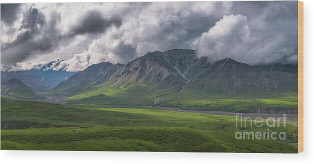 Epic Wood Print featuring the photograph Denali National Park Panorama by Michael Ver Sprill