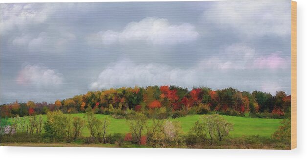 Cloudy Blue Skies Wood Print featuring the photograph Electric Sky by Mary Timman