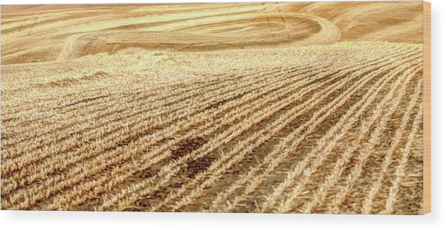 Farm Wood Print featuring the photograph Field Lines 1541 by Jerry Sodorff