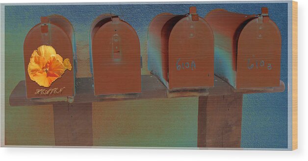 Rusty. Mailboxes. Heaven Wood Print featuring the photograph Heaven's Mailbox by Feather Redfox