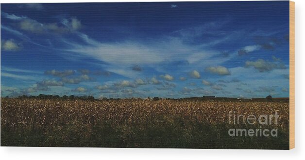 Iowa Wood Print featuring the photograph Iowa's Sky by J L Zarek
