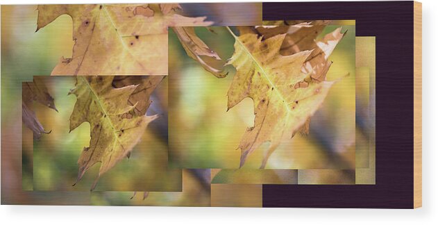 Leaves Wood Print featuring the photograph Pleasures of Autumn - by Julie Weber
