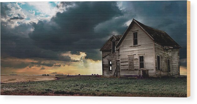 Minnesota Wood Print featuring the photograph They're Gone by Hans Brakob