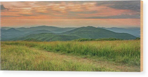 Appalachian Trail Wood Print featuring the photograph Go Gently Into That Good Night by Marcy Wielfaert