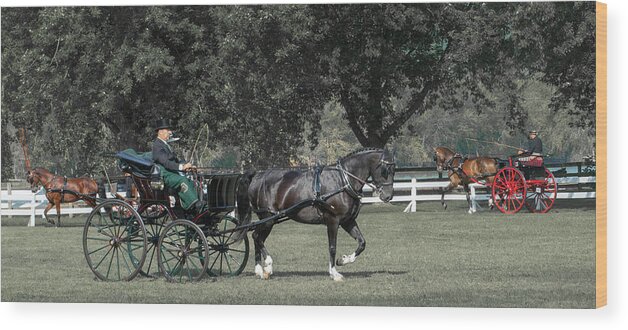 Horse Wood Print featuring the photograph Horse 34 by Phil S Addis