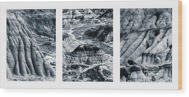 Photography Wood Print featuring the photograph Horseshoe Canyon Triptych by Alma Danison