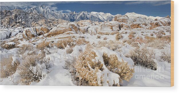 Dave Welling Wood Print featuring the photograph Panorama Winter Sunrise Alabama Hills Eastern Sierras by Dave Welling
