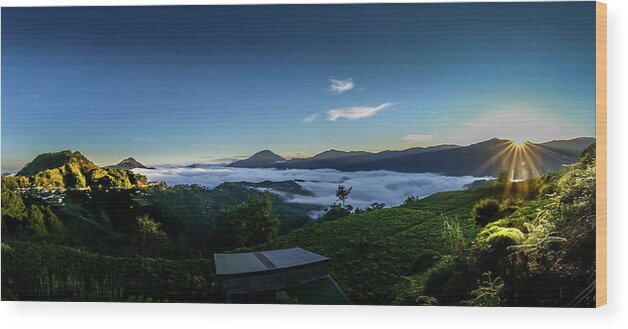 Apo Wood Print featuring the photograph Sea of Clouds in Mountain Province by Arj Munoz