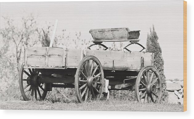 Wagons Wood Print featuring the photograph Classic Character.... by Tammy Schneider