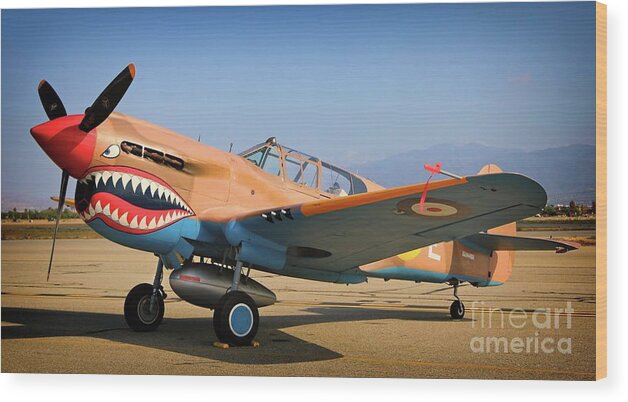 Airplane Wood Print featuring the photograph RAF Curtiss-Wright P-40 Warhawk by Gus McCrea