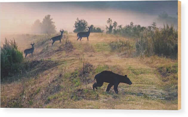 Bear Wood Print featuring the photograph Bear and Three Deer #8547 by Dan Beauvais