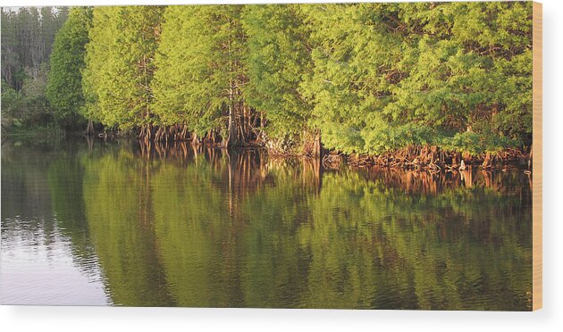 Landdscape Wood Print featuring the pyrography Emerald Lake #1 by Monika A Leon