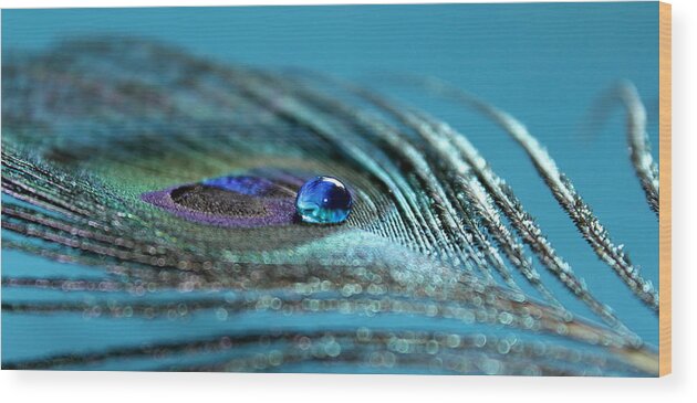 Peacock Feather Wood Print featuring the photograph Liquid Blue #2 by Krissy Katsimbras