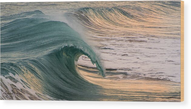 Surf Wood Print featuring the photograph Barrel Wave by Andrew Dickman