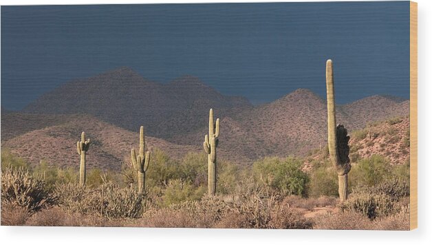Saguaro Wood Print featuring the photograph Before the Storm by Tam Ryan