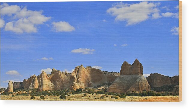 Arizona Wood Print featuring the photograph Big Blue Sky by Kathleen Scanlan