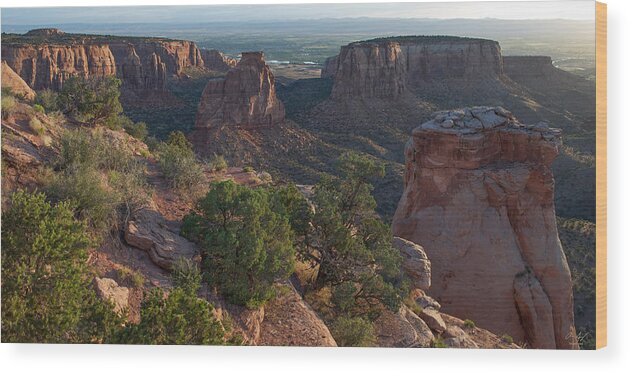 Colorado Wood Print featuring the photograph Colorado National Monument by Aaron Spong
