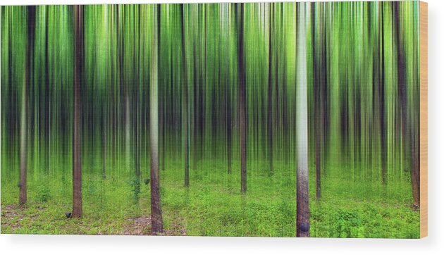 Tranquility Wood Print featuring the photograph Dream by Simonlong