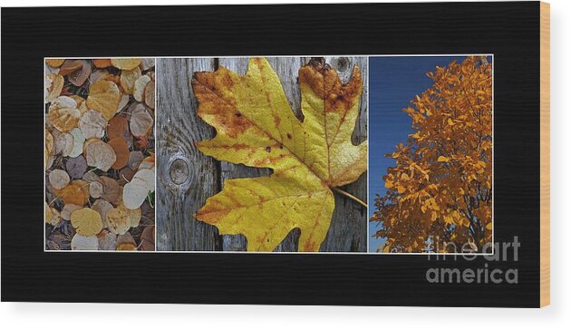 Autumn Wood Print featuring the photograph Fall Colors Triptych by Patricia Strand