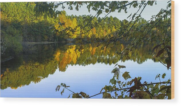 Water Wood Print featuring the photograph Glimpse Into Autumn by Ola Allen