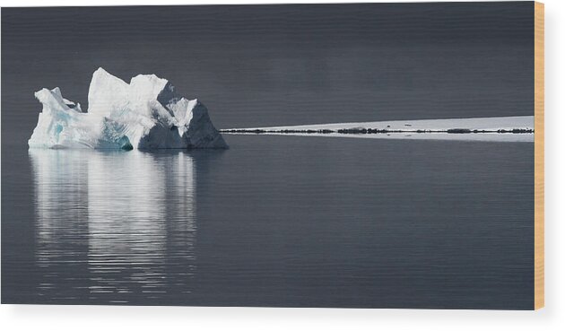 Arctic Wood Print featuring the photograph Iceberg and Snowy Plain by Pekka Sammallahti