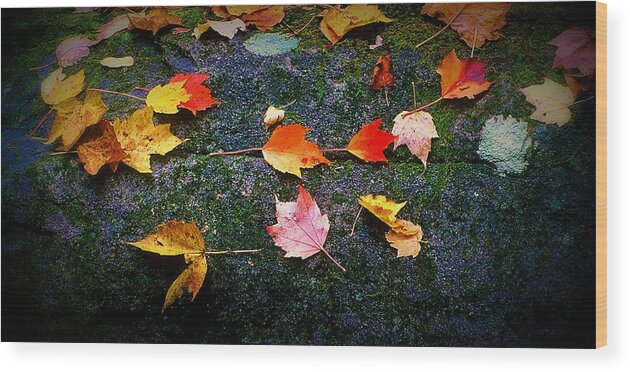 Fine Art Wood Print featuring the photograph Leaves on Rock by Rodney Lee Williams