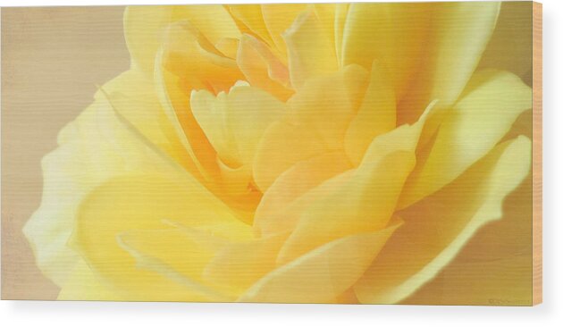 Rose Wood Print featuring the photograph Soft Yellow Rose by Deborah Smith