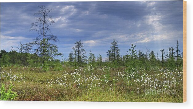 Festblues Wood Print featuring the photograph Summer at the Bog... by Nina Stavlund